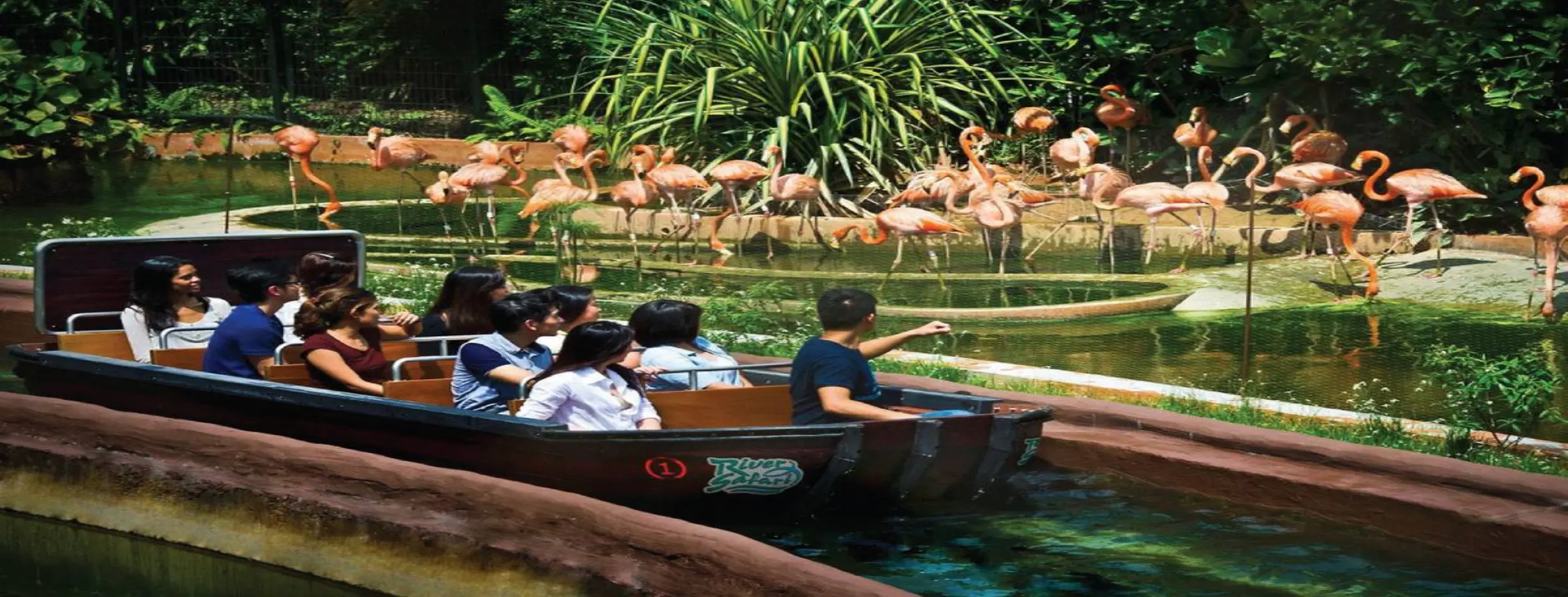 Image for River Safari